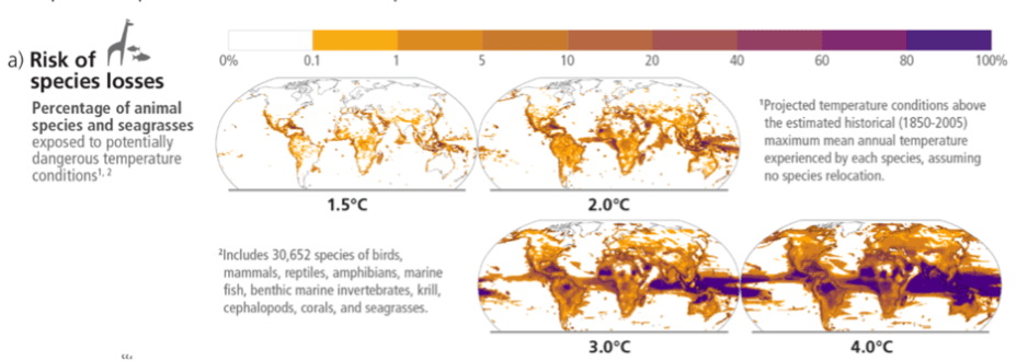 Grafik zum Artensterben unter verschiedenen Temperatur-Szenarien für die Zukunft. Momentan befindet sich die Menschheit auf dem 4,0 °C Pfad. Aus: IPCC AR6 Synthesis Report (Summary for Policymakers)