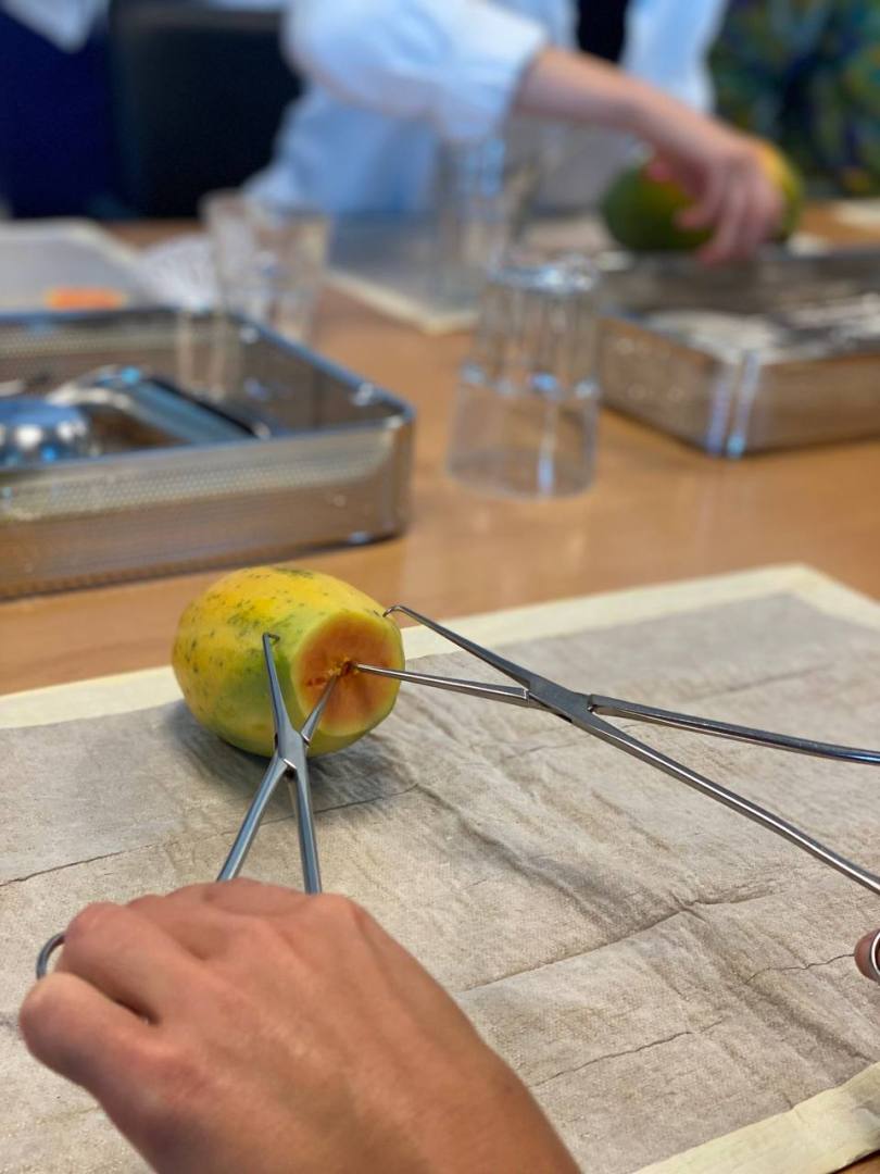 Papaya Workshop, Schwangerschaftsabbruch